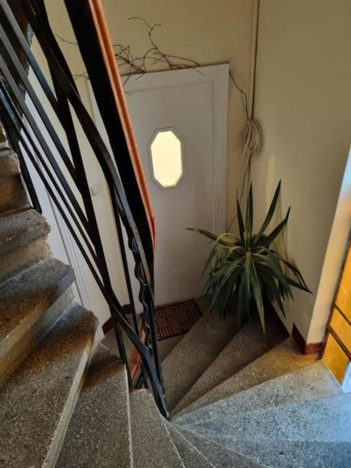 Cozy Apartment Near City Center Bukares Bagian luar foto